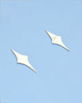 Long Star Stud Earrings